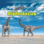 Diplodocus, Daniel Nunn