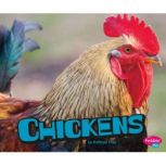 Chickens, Kathryn Clay