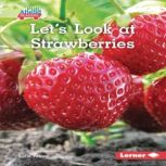 Let's Look at Strawberries, Katie Peters