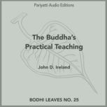 The Buddha's Practical Teaching, John D. Ireland