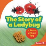 The Story of a Ladybug It Starts with an Egg, Lisa Owings