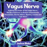 Vagus Nerve Activate the Power of the Vagus Nerve. The Best Exercises to Reduce Inflammation, Depression. Chronic Illness, Anxiety, Trauma and Lots More
