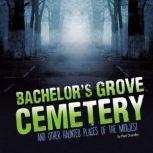 Bachelor's Grove Cemetery and Other Haunted Places of the Midwest, Matthew Chandler