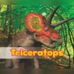 Triceratops, Daniel Nunn