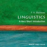 Linguistics A Very Short Introduction