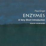 Enzymes A Very Short Introduction