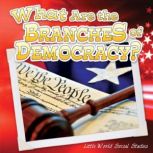 What Are the Branches of Democracy?, Ann H. Matzke