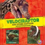 Velociraptor and Other Raptors The Need-to-Know Facts, Rebecca Rissman