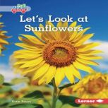 Let's Look at Sunflowers, Katie Peters