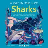 Sharks (A Day in the Life) What Do Great Whites, Hammerheads, and Whale Sharks Get Up To All Day?, Carlee Jackson