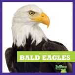 Bald Eagles, Mari Schuh