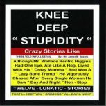 Knee Deep Stupidity, James M. Spears