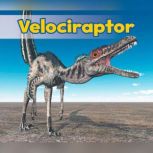 Velociraptor, Daniel Nunn