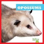 Opossums, Mari Schuh