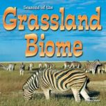 Seasons Of The Grassland Biome Biomes, Shirley Duke