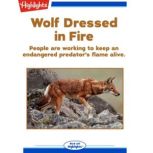 Wolf Dressed in Fire People are working to keep an endangered predator's flame alive., Sneed B. Collard III