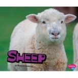 Sheep, Michelle Hasselius