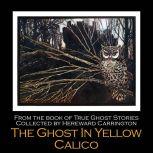 The Ghost in Yellow Calico