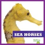 Sea Horses, Cari Meister