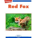 Red Fox, Pat Lessie