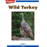 Wild Turkey, Peter Friederici