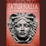 Saturnalia A Tale of Wickedness and Redemption in Ancient Rome, Adam Alexander Haviaras