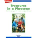 Treasures in a Pinecone, Jan Black