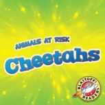 Cheetahs, Rachel Grack