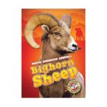 Bighorn Sheep Blastoff! Readers: Level 3, Megan Borgert-Spaniol