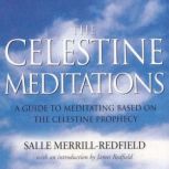 The Celestine Meditations A Guide to Meditation Based on The Celestine Prophecy, Salle Merrill Redfield