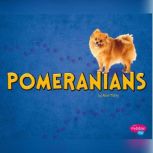 Pomeranians, Allan Morey