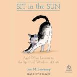 Sit in the Sun And Other Lessons in the Spiritual Wisdom of Cats, Jon M. Sweeney