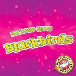 Blackbirds, Rachael Barnes