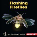 Flashing Fireflies, Laura Hamilton Waxman