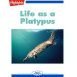 Life as a Platypus, Kim Varner