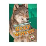 Gray Wolves Blastoff! Readers: Level 3, Christina Leaf