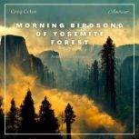 Morning Birdsong of Yosemite Forest Ambient Soundscape