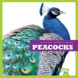 Peacocks, Cari Meister
