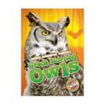 Great-horned Owls Blastoff! Readers: Level 3, Christina Leaf