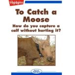 To Catch a Moose