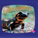 Salamanders, Molly Kolpin
