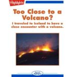 Too Close to a Volcano? I traveled to Iceland to have a close encounter with a volcano., Nancy Marie Brown