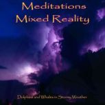 Meditations Mixed Reality - Dolphins and Whales in Stormy Weather, Anthony Morse