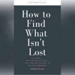 How to Find What Isn't Lost A Short, Pro-Intellectual, Pro-Desire Guide to Enlightenment, Akilesh Ayyar