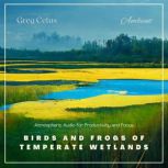 Birds and Frogs of Temperate Wetlands Atmospheric Audio for Productivity and Focus