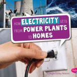 How Electricity Gets from Power Plants to Homes, Megan Cooley Peterson