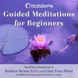 Guided Meditations for Beginners Mindfulness Meditations to Reduce Stress, Relaxation and Calm Your Mind in Difficult Times, and Let Stress Go Away, MindfulDevMag