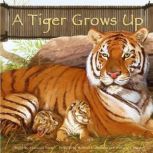 A Tiger Grows Up, Anastasia Suen