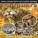 Jaguars Photos and Fun Facts for Kids, Isis Gaillard