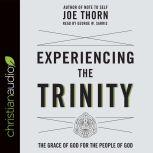 Experiencing the Trinity The Grace of God for the People of God, Joe Thorn